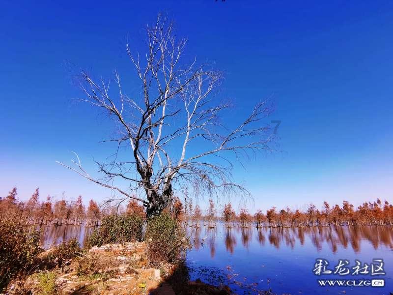 家里孩子老玩游戏怎么办？游戏画面